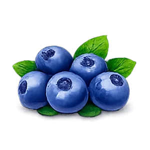 Visiform — extracto de arándano (Vaccinium myrtillus)